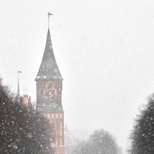 Топовые места Калининграда и области: курорты, природа и архитектура