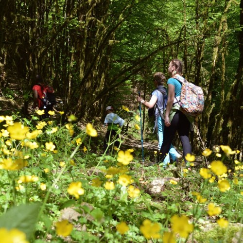 Лёгкий треккинг в субтропиках с проживанием в гостинице в Адлере