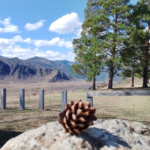 Красота Алтая: Чемальский район и Чуйский тракт