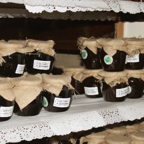 Здесь зародилась Русь: Старая Ладога и Александро-Свирский монастырь