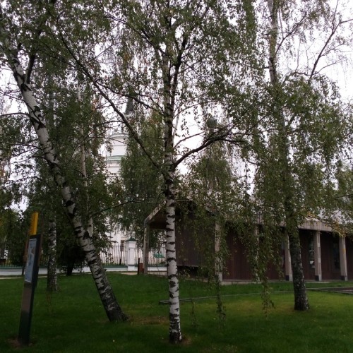 Путешествие в Болдино