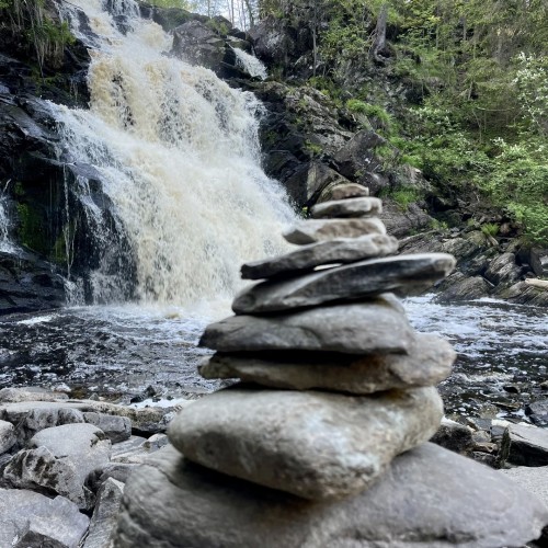 Перезагрузка в Приладожье с йогой, баней, сибирским чаном и сапами (всё включено)