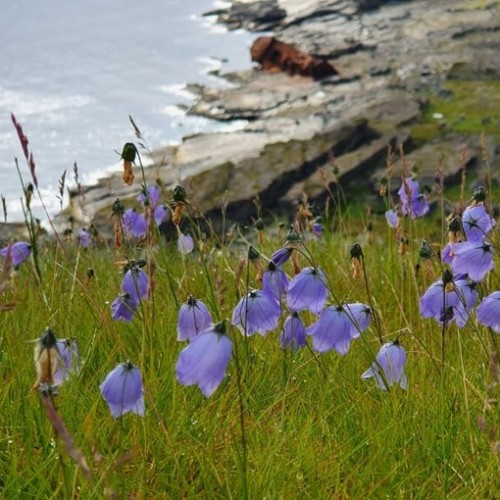 Экстремальная экспедиция на вездеходах: 1000 км вдоль Баренцева и Белого морей (всё включено)