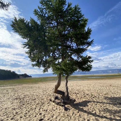 Знакомство с Байкалом: Иркутск, Листвянка и Ольхон, природные красоты, легенды и места силы