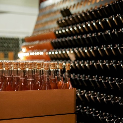 На сидрерию из Петербурга: авторская экскурсия + дегустация