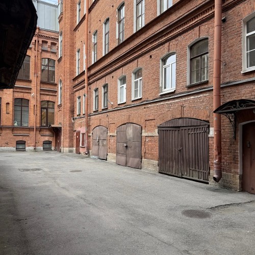 По Васильевскому с островитянином!