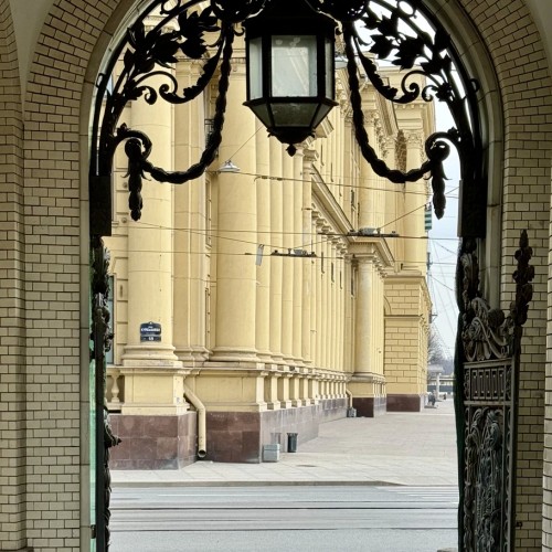 Петроградка: живая и уютная