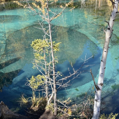 Хайкинг по главным местам Алтая: горы, озёра и водопады