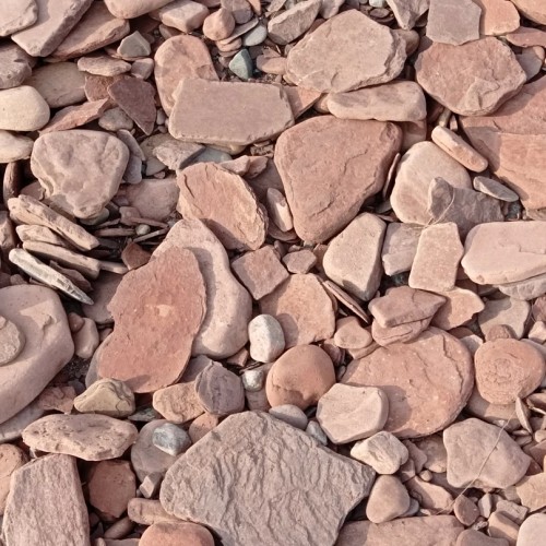 Терский и Кандалакшский берега Русского Севера: путешествие только для вашей компании