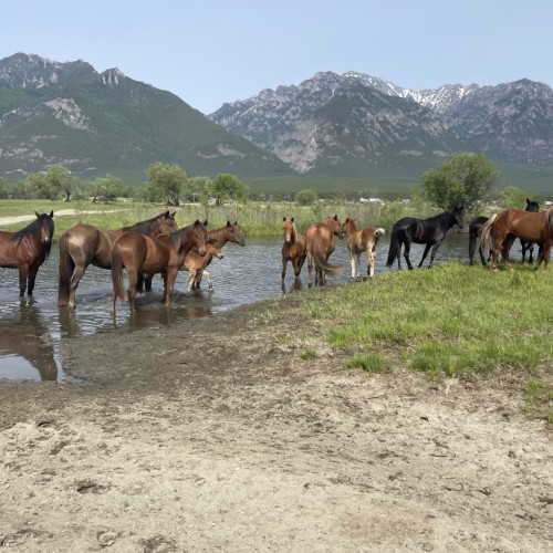 Время перезагрузки: индивидуальный тур на Байкал со стороны Бурятии
