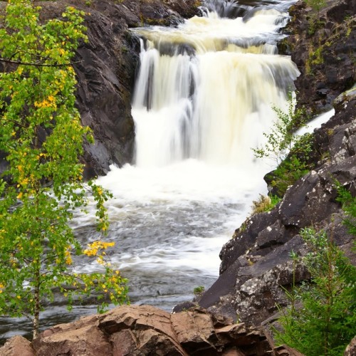 На природу! Прогулки по Карелии с проживанием в глэмпинге