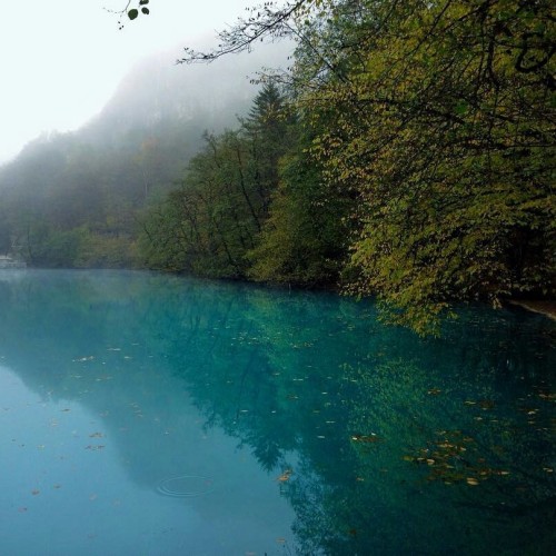 Россыпь цветов и мириады звёзд: астропоход в сердце гор (мини-группа)