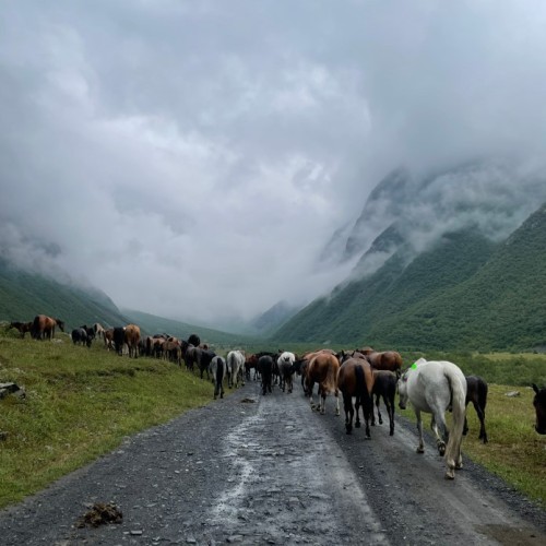 Автотрип по Северной Осетии: ущелья, башни, арт-объекты