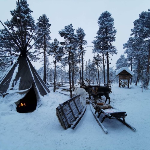 Океан впечатлений в Арктике: айс-флоатинг, северное сияние, морская прогулка и гастрономия
