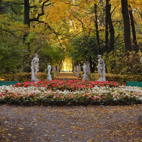 Летний сад — детям: познавательная прогулка