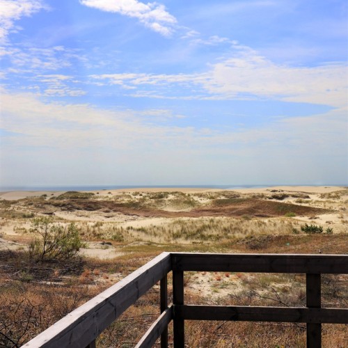 Комфорт-тур в Калининград в мини-группе с проживанием в глэмпинге: экскурсии и дегустация