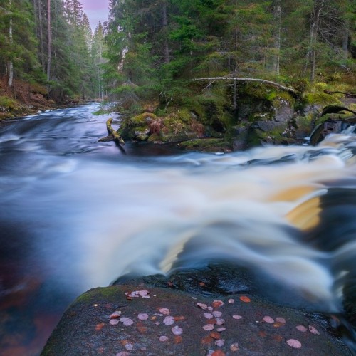 Там, где властвует природа: индивидуально в Карелию с гидом-фотографом