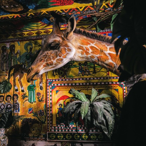 По инсталляции «Авторский стиль» в Петербурге — в мир учёных и творцов