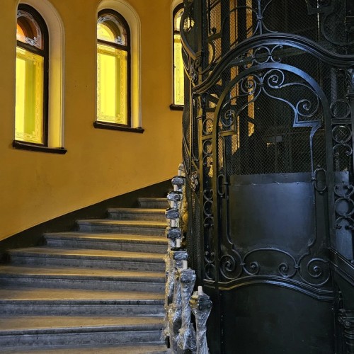 Увидеть не-Невский