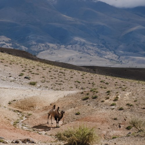 Алтайский Марс и Чуйский тракт за 2 дня в мини-группе