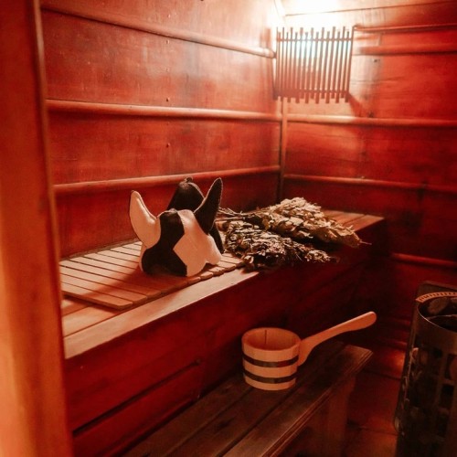 За атмосферой Арктики: тур из Мурманска в Териберку с дегустацией и прогулками по главным местам