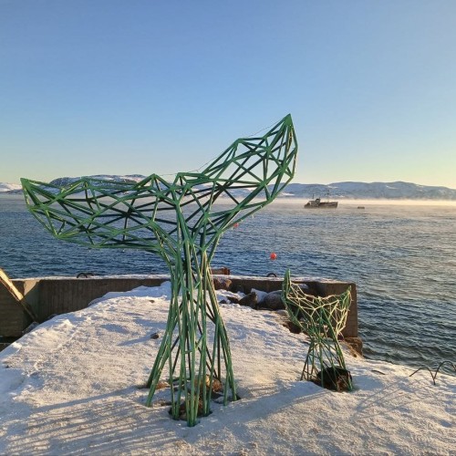 Перезагрузка на Кольском: видеть, чувствовать, удивляться