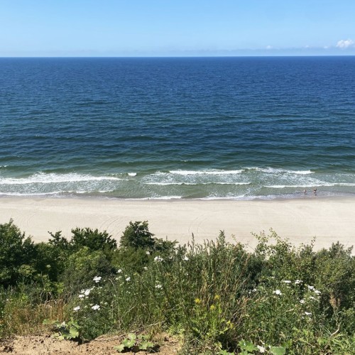 Перезагрузка в экоотеле на побережье Балтики и экскурсия по Янтарному