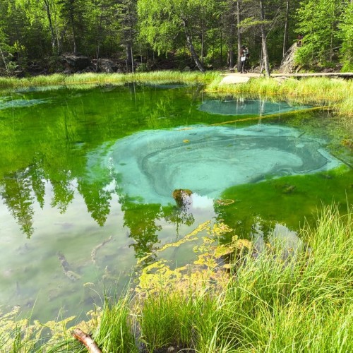 В мире легенд и невероятных ландшафтов: насыщенный мини-тур по Алтаю