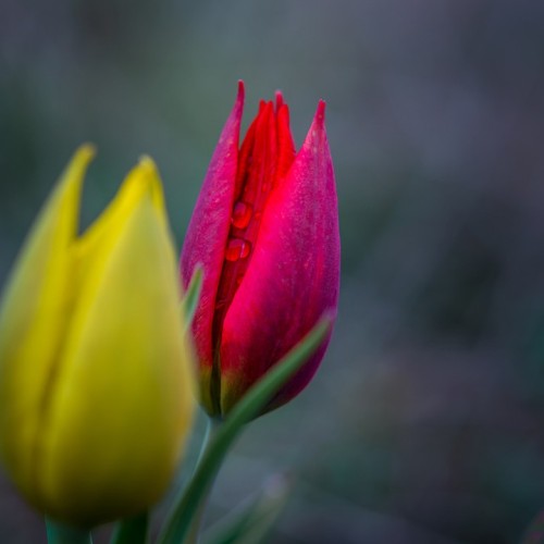 Почти на Марсе и Луне: тур к соляным озёрам Эльтон и Баскунчак