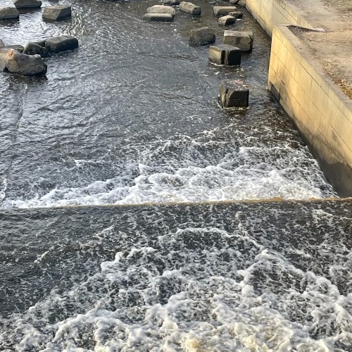 Приморский Парадиз — Сестрорецк, Репино, Комарово и Зеленогорск. Индивидуальная экскурсия