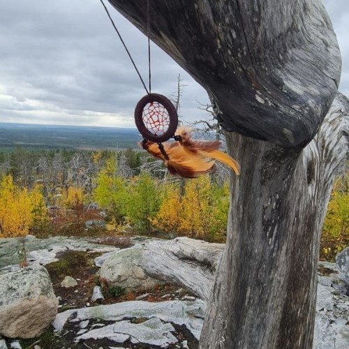 Детокс в Карелии: место силы, дары леса и походная романтика (всё включено)
