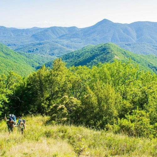 Запах разнотравья и никого вокруг: поход с рюкзаками по долине реки Пшада (всё включено)