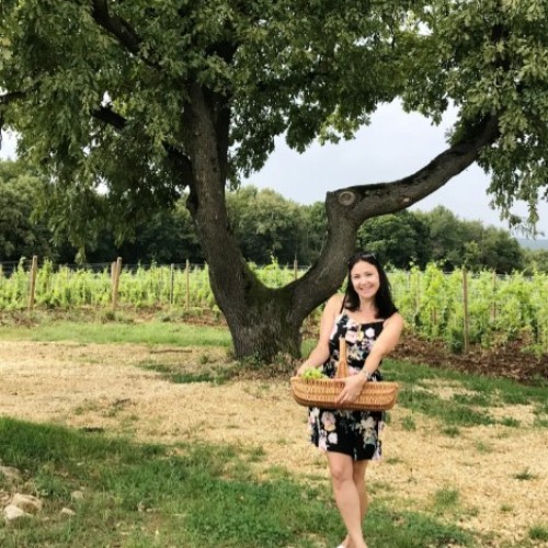 На одной широте с виноградниками Италии: гастропутешествие по винодельням Краснодарского края