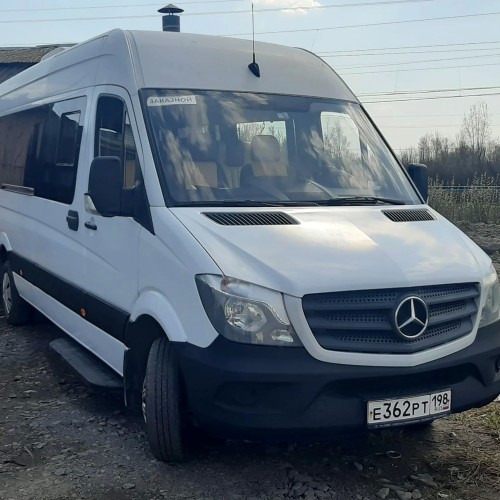 Из Петербурга — в Царское Село (всё включено)