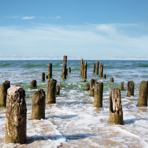 Гранд-тур по Калининграду и области с выбором экскурсий