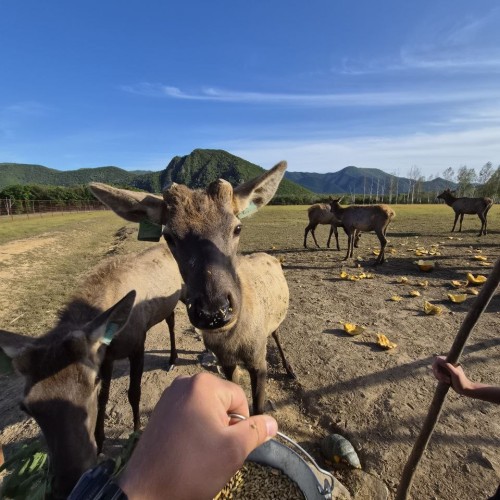 Индивидуальная перезагрузка на берегу заповедной бухты Петрова