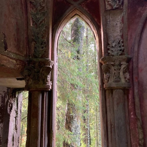 Старинные усадьбы, уютные города и природа: тур по живописным уголкам Новгородской области