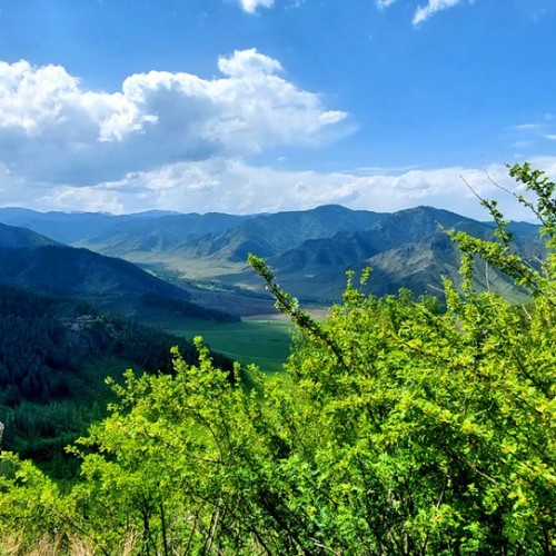 Насыщенный треккинг-тур по Алтаю с размещением на турбазах: более 25 локаций