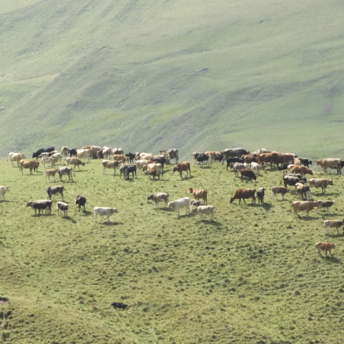 Обогнать солнце и подняться на вершину Пабаку: восхождение с фотосъёмкой