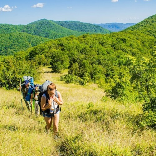Запах разнотравья и никого вокруг: поход с рюкзаками по долине реки Пшада (всё включено)
