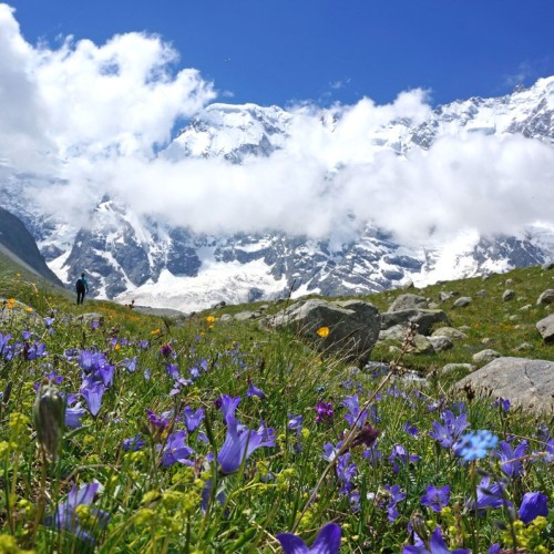 Треккинг налегке в Безенги с размещением в альплагере