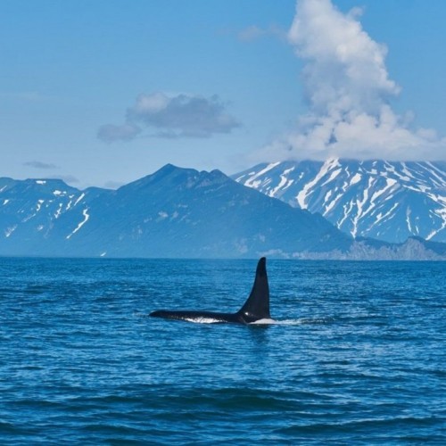 На Камчатке — вкусно есть: гастротур с рыбалкой и крабовой вечеринкой у океана