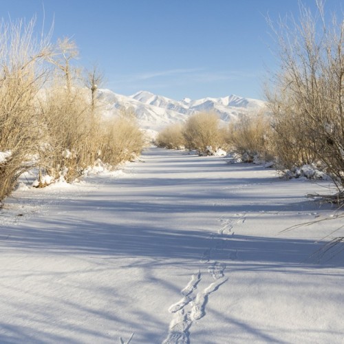 И уносит меня, и уносит меня в звенящий снежный Алтай (мини-группа)