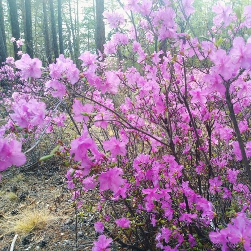 На джипе по Ольхону в мини-группе: север и юг