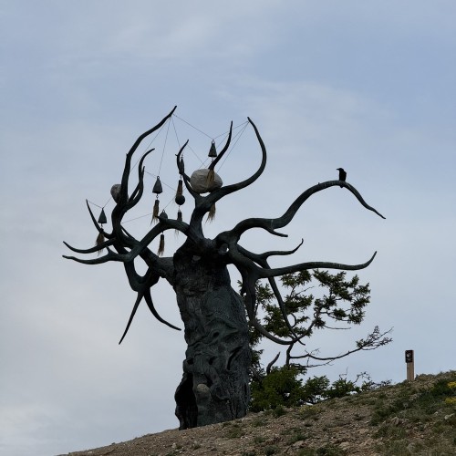 По всему Ольхону на джипе только в вашей компании