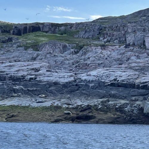 Своей компанией на Русский Север: Мурманск, Териберка, Кировск и саамы