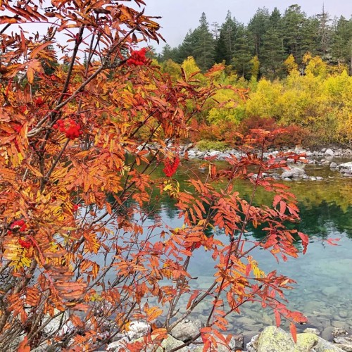 Лёгкий треккинг в горах Домбая с комфортом
