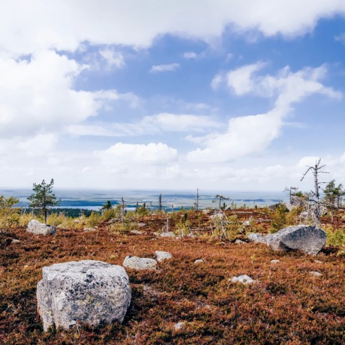 Поход-перезагрузка среди дикой природы Карелии в мини-группе (из Санкт-Петербурга)