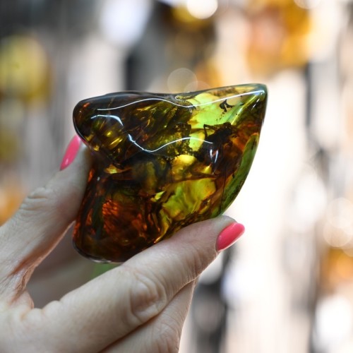 Тур по прусским городкам Калининградской области: Правдинск, Неман и Черняховск