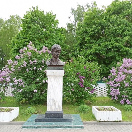 «Эта улица мне знакома»: Константиново, Рязань и Спас-Клепики